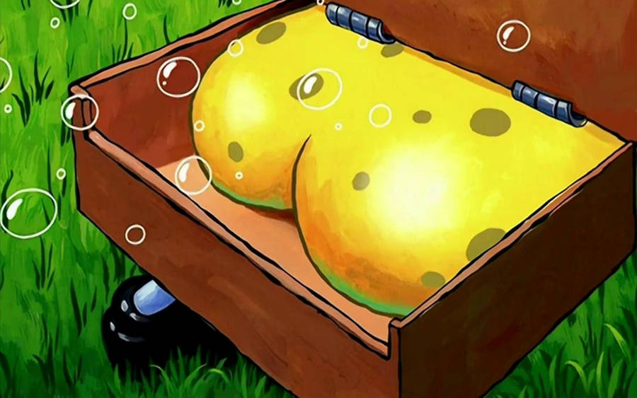 Download Spongebob Butts Wallpaper | Wallpapers.com