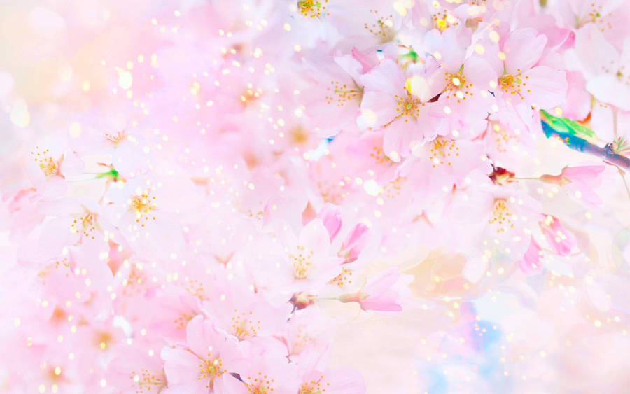 Spring Computer