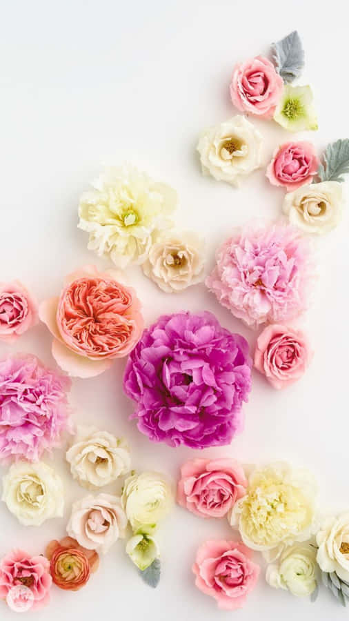 Spring Iphone Background