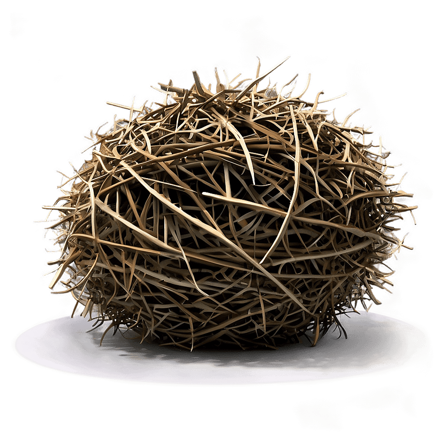Animated Tumbleweed Icon PNG 81