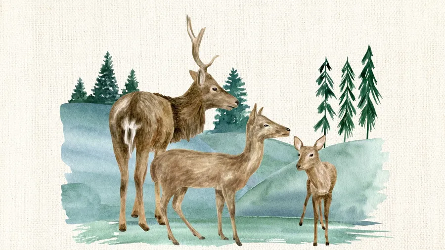 Deer background