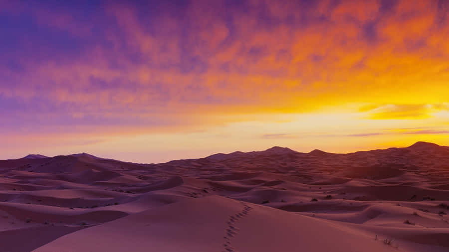 Sanddyner1920 x 1080 tapet
