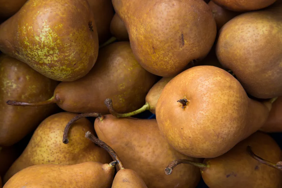 Light brown pear fruit wallpaper