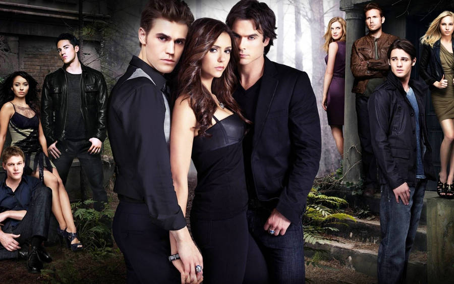 Download Stefan Salvatore The Vampire Diaries Cast Wallpaper Wallpapers Com