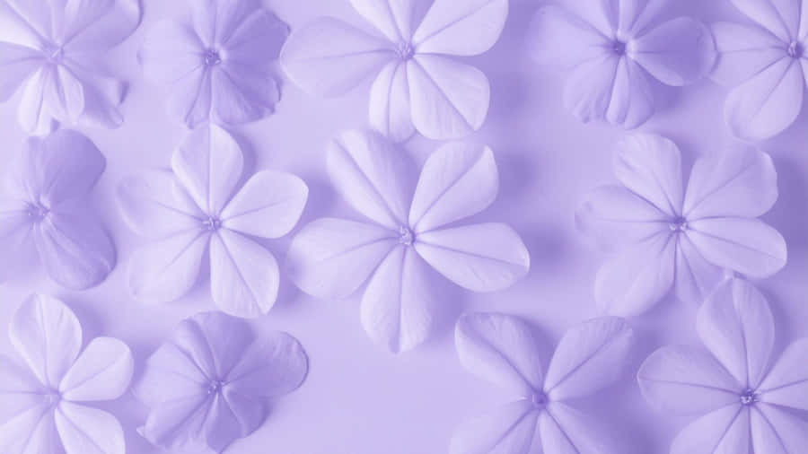 Lila Blumenmuster