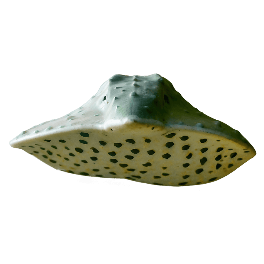 Stingray Pattern PNG 19