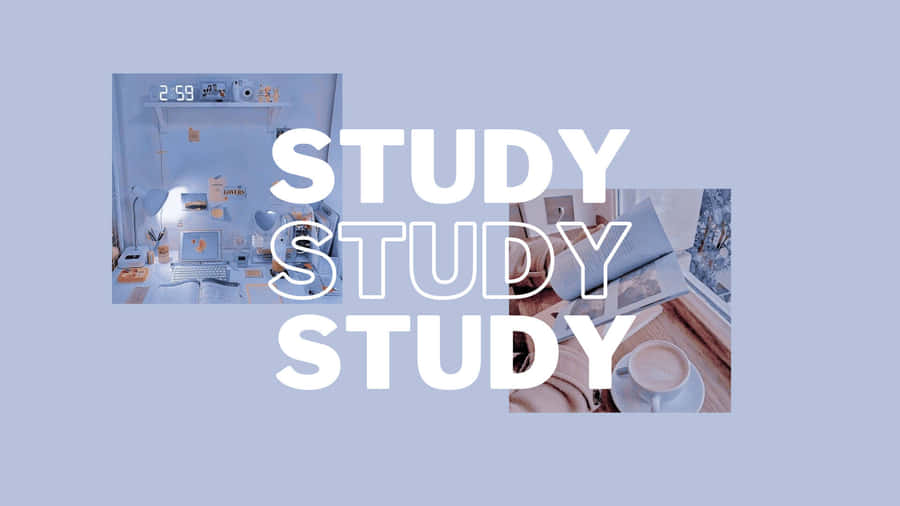 Study background