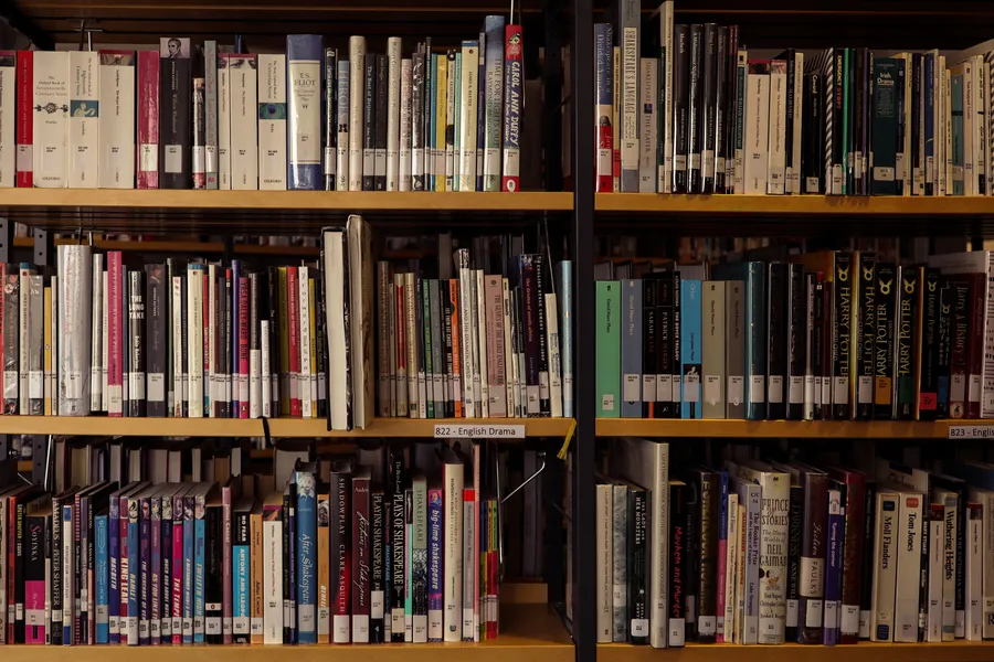 Bookshelf Zoom Background