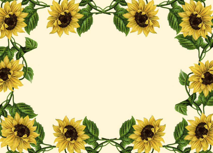 Sunflower Border Clipart. 