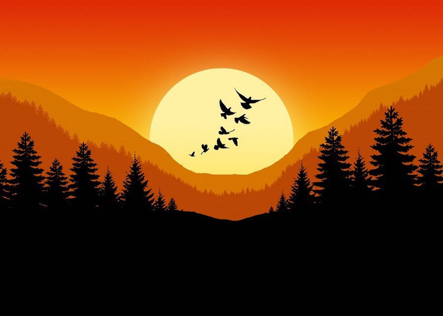 Download Sunset Sky Vector Art Wallpaper | Wallpapers.com