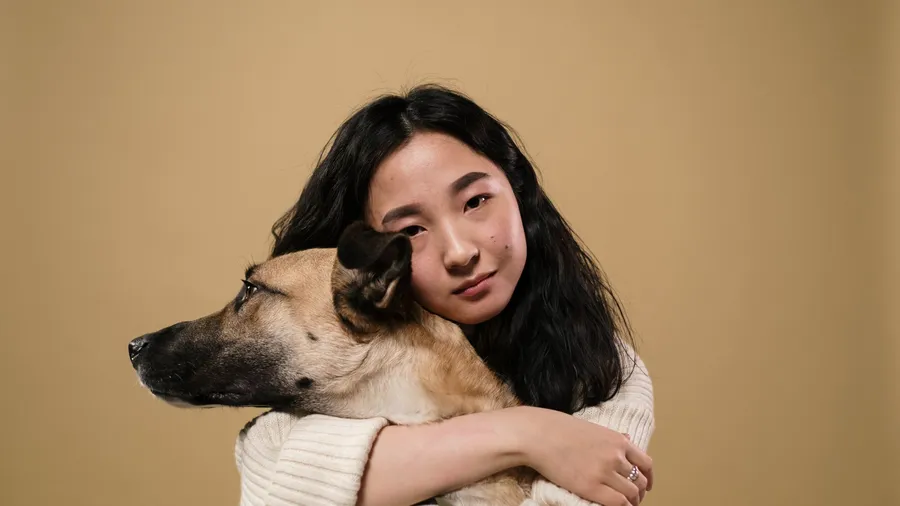 pets background