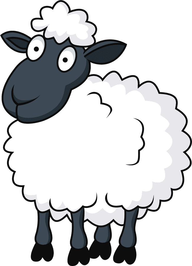 Cartoon Sheep Illustration
