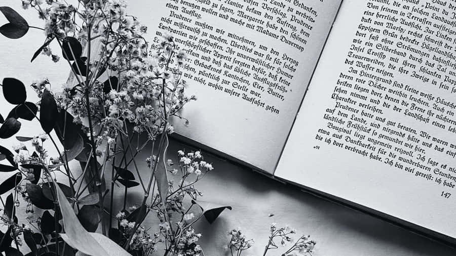 Svartoch vit bok 1920 x 1080 bakgrundsbild