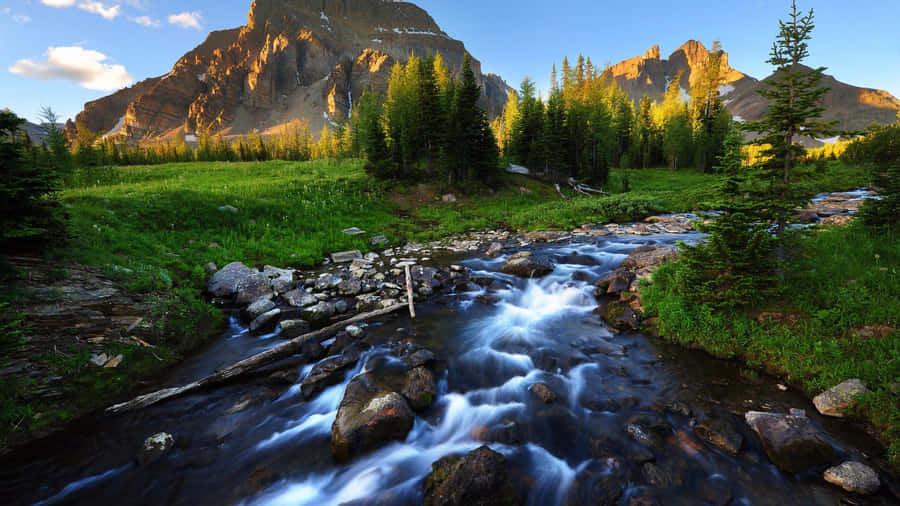 Frühlingsfluss3840 x 2160 Hintergrundbild