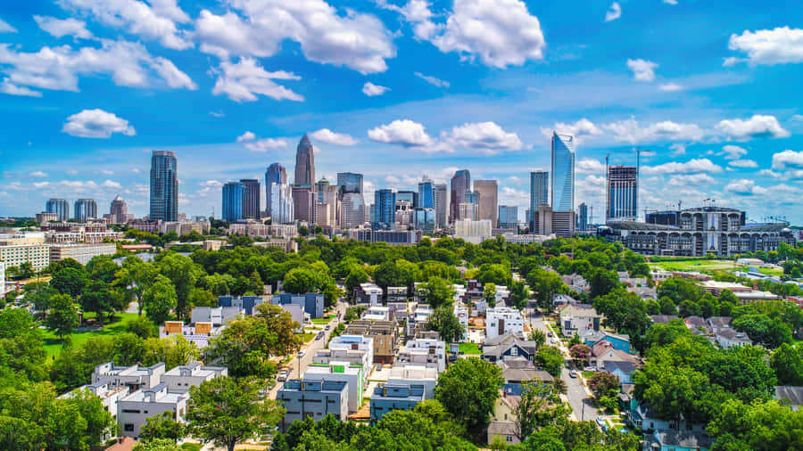Charlotte Skyline Zomerdag