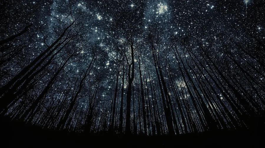 Stars Computer