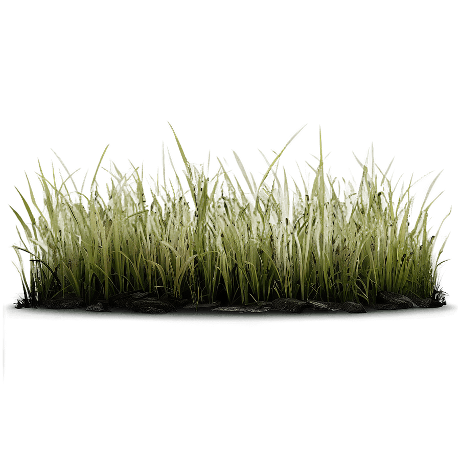 Dead Grass Background PNG 45
