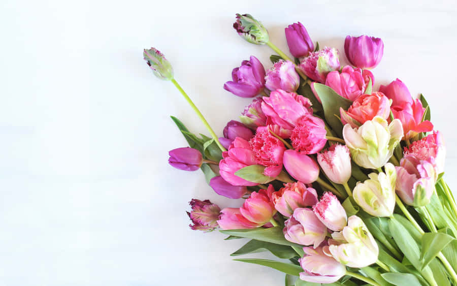 Bunter Tulpenstrauß von oben