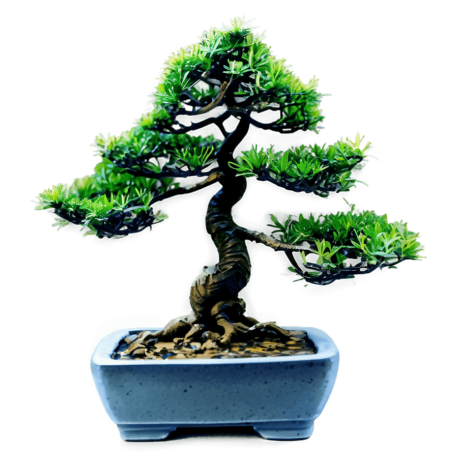 Faux Bonsai Tree PNG 77