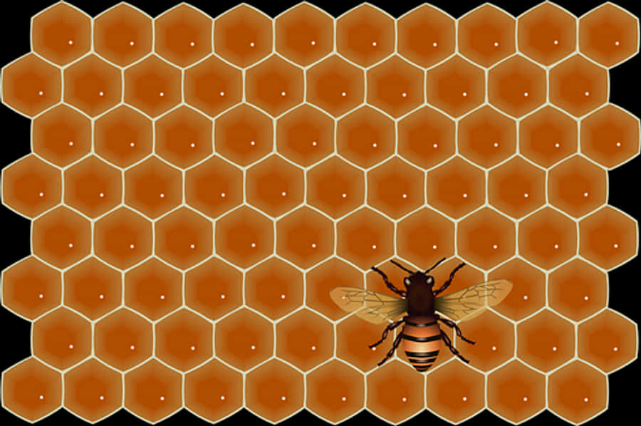Honeycomband Bee Illustration