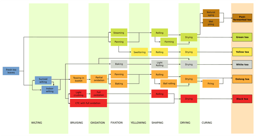 Tea Processing Flowchart PNG