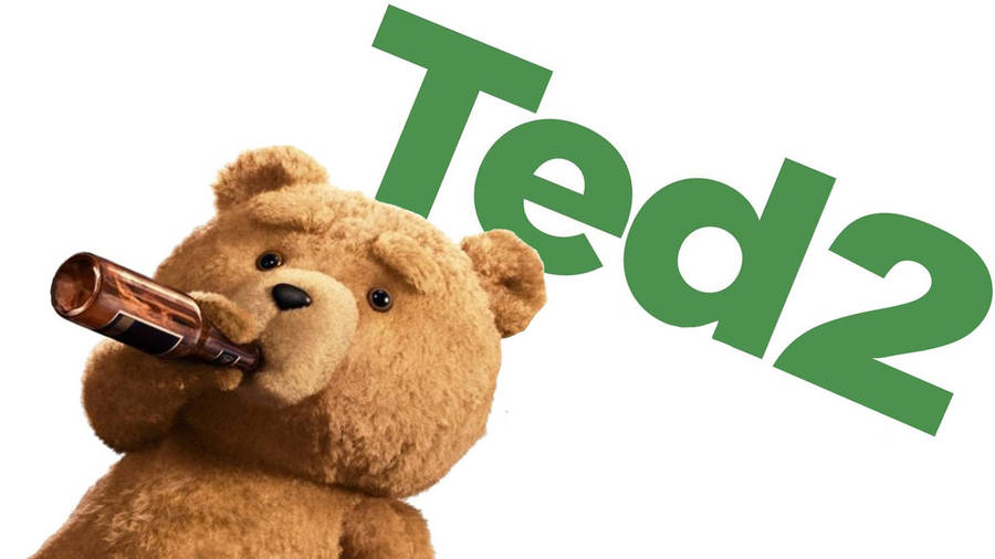 Download Ted Teaser Drinking Beer Wallpaper