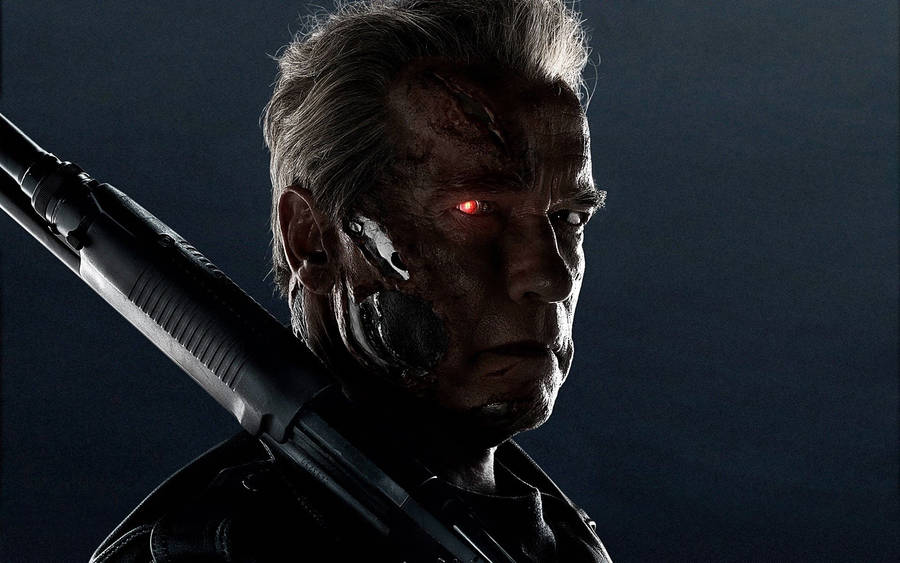 Download Terminator Arnold Schwarzenegger T 800 Wallpaper Wallpapers Com