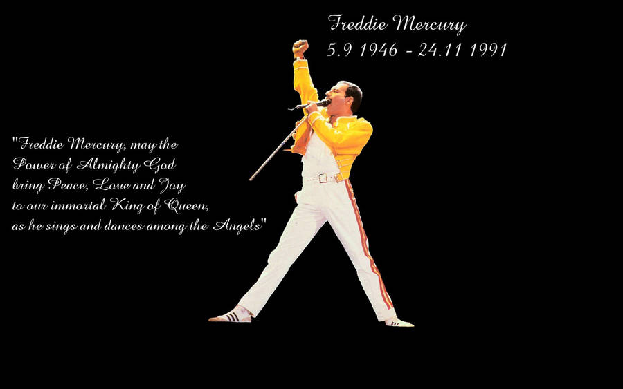 Download The King Of Queen Freddie Mercury Wallpaper Wallpapers Com