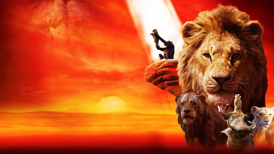 Download The Lion King 2019 Wallpaper Wallpaper Wallpapers Com