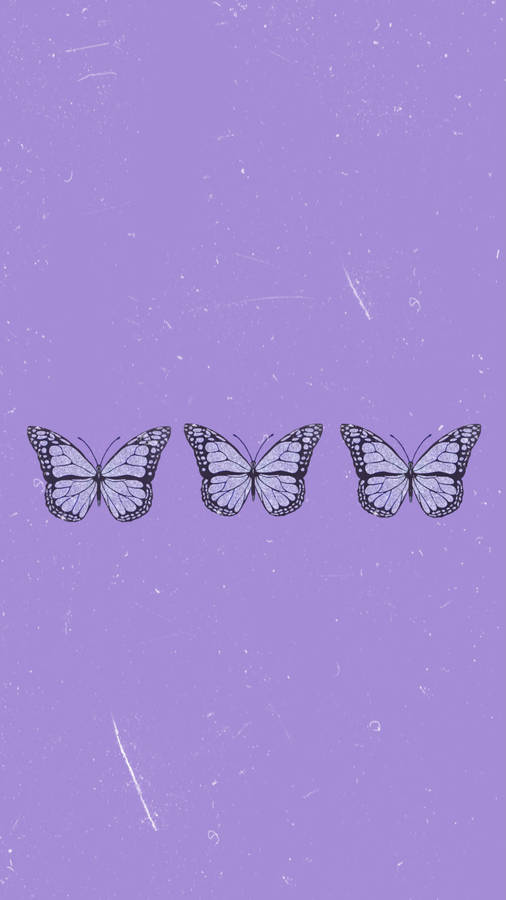 Download Three Purple Butterfly Phone Background Wallpaper | Wallpapers.com