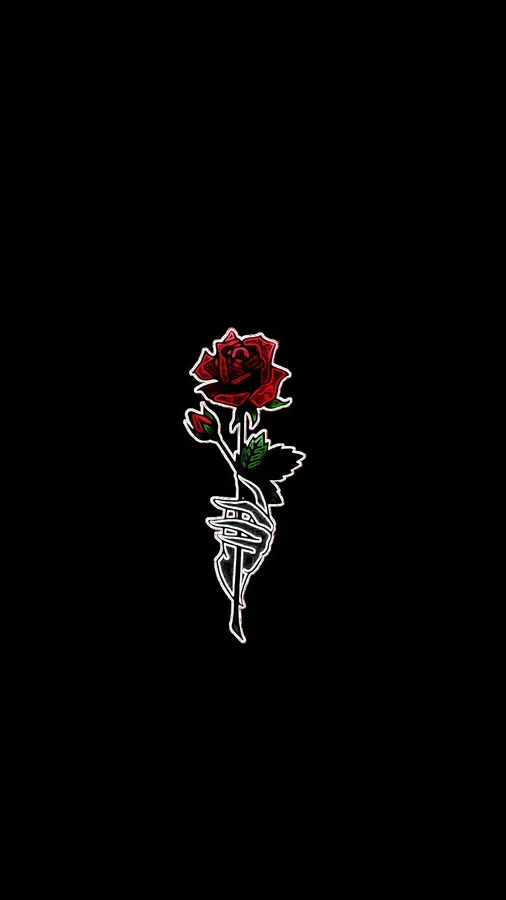 Cool Rose