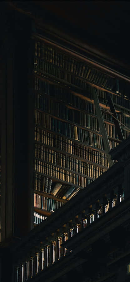 Biblioteca Misteriosa Prateleiras Estéticas Escuras.jpg