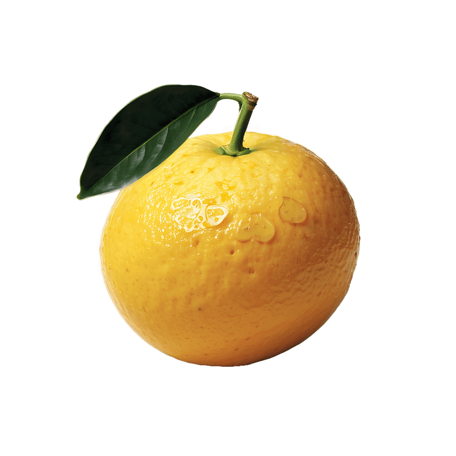 Yellow Aesthetic Citrus Fruits PNG apb71
