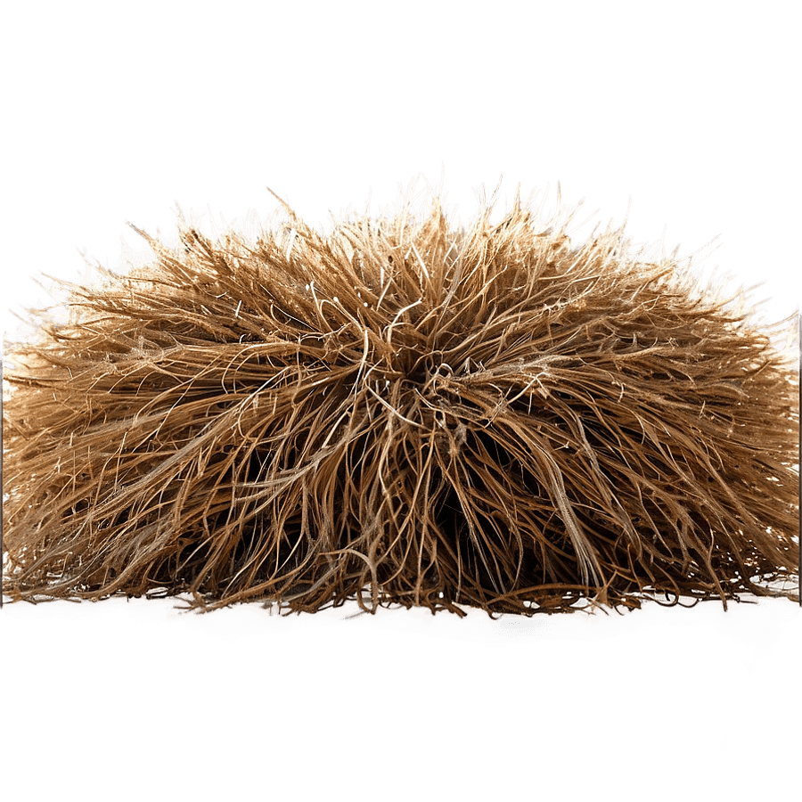 Tumbleweed with Text Overlay PNG 05232024