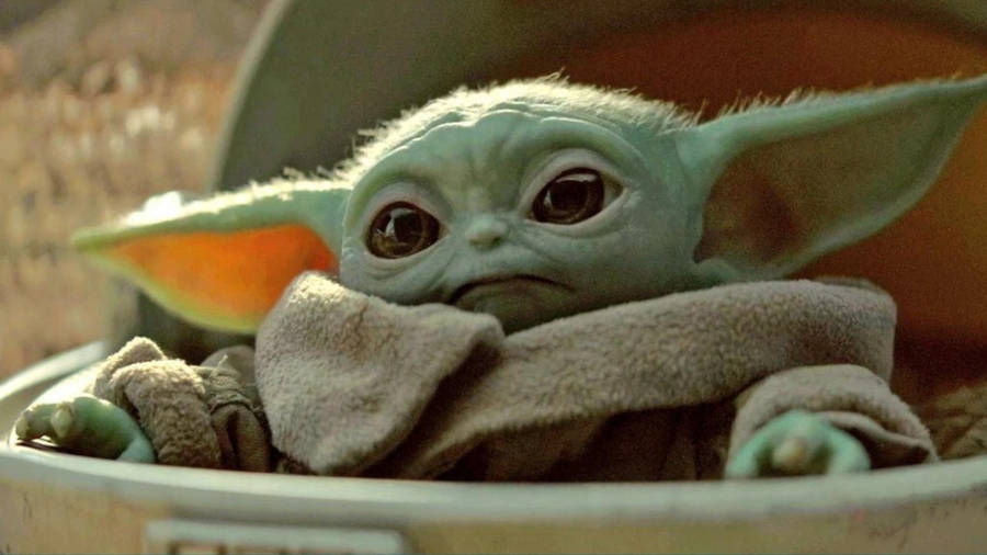 Download Baby Yoda Wallpaper