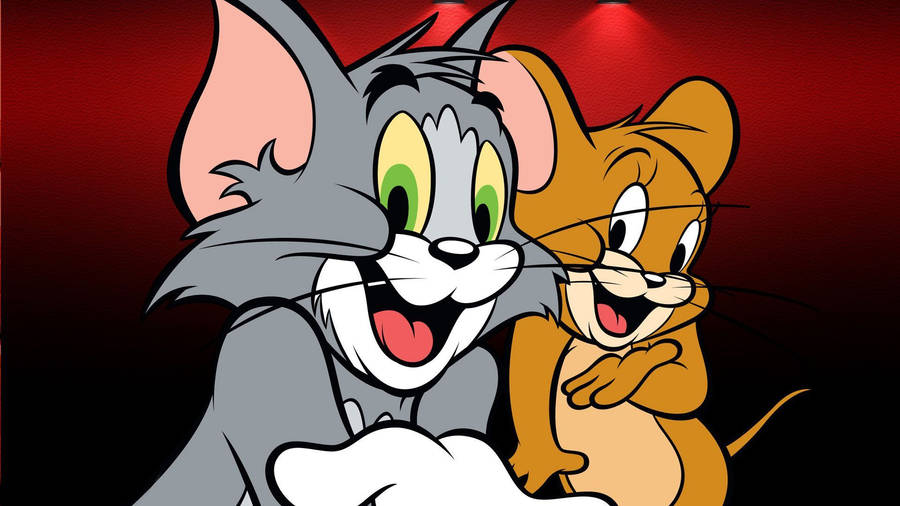 Tom and Jerry Mouse friendship cartoon illustration wallpaper