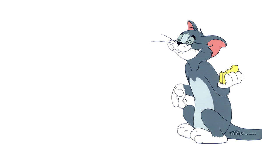 tom the cat from tom and jerry