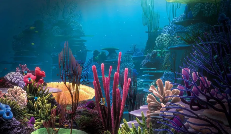 Aquarium Fish Tank