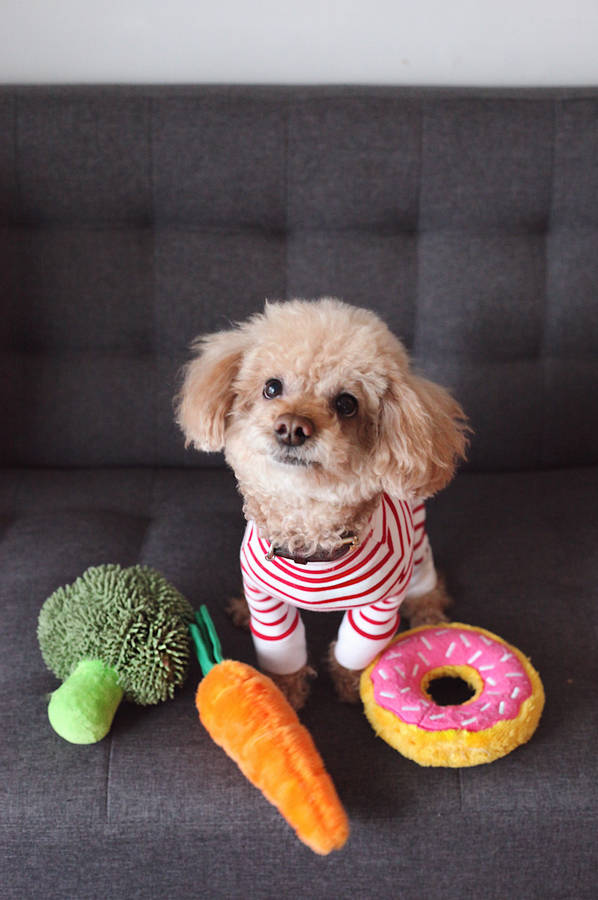 Toy poodle with plushies wallpaper