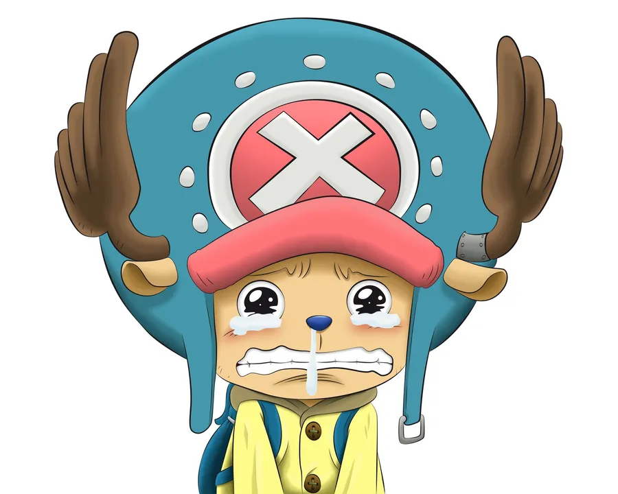 One Piece Chopper