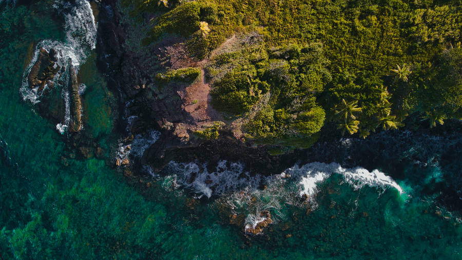 Download Trinidad And Tobago Coastline Wallpaper | Wallpapers.com