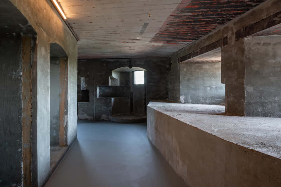 Design de Interior Fortificado