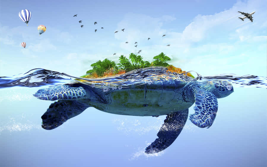 Turtle Background
