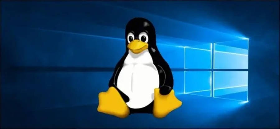 Download Tux Linux Os Logo Over Windows Wallpaper | Wallpapers.com