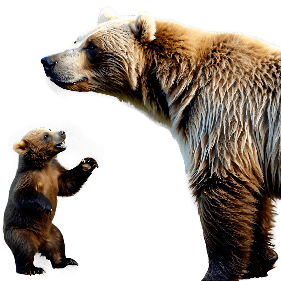Grizzly Bear with Cubs Walking PNG jox21