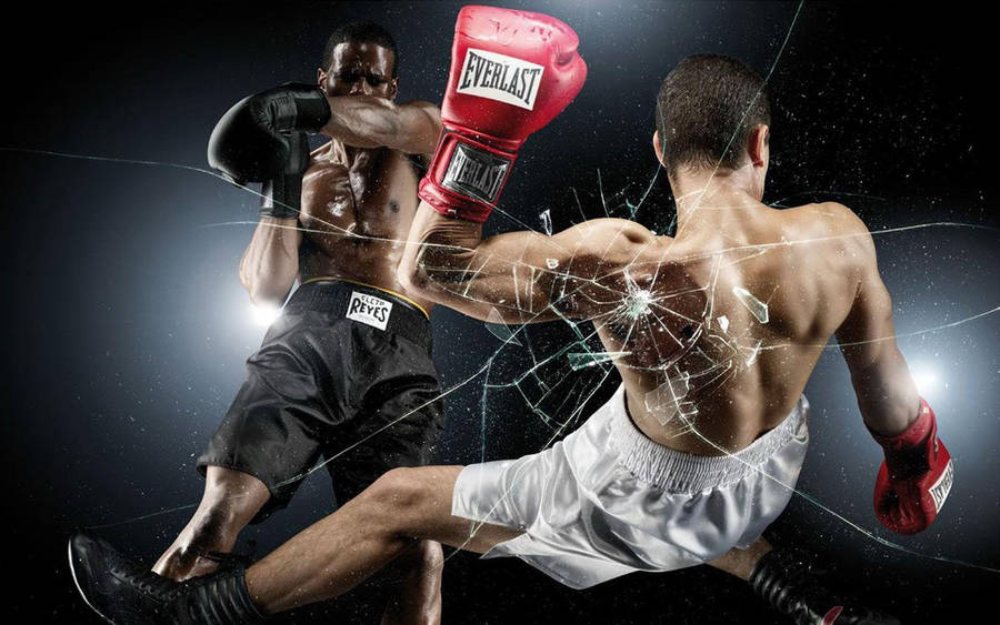Two boxers from the sport boxing wallpaper
