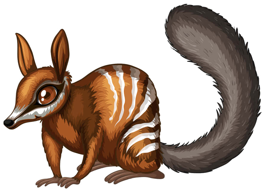 Illustrerad numbatkonst