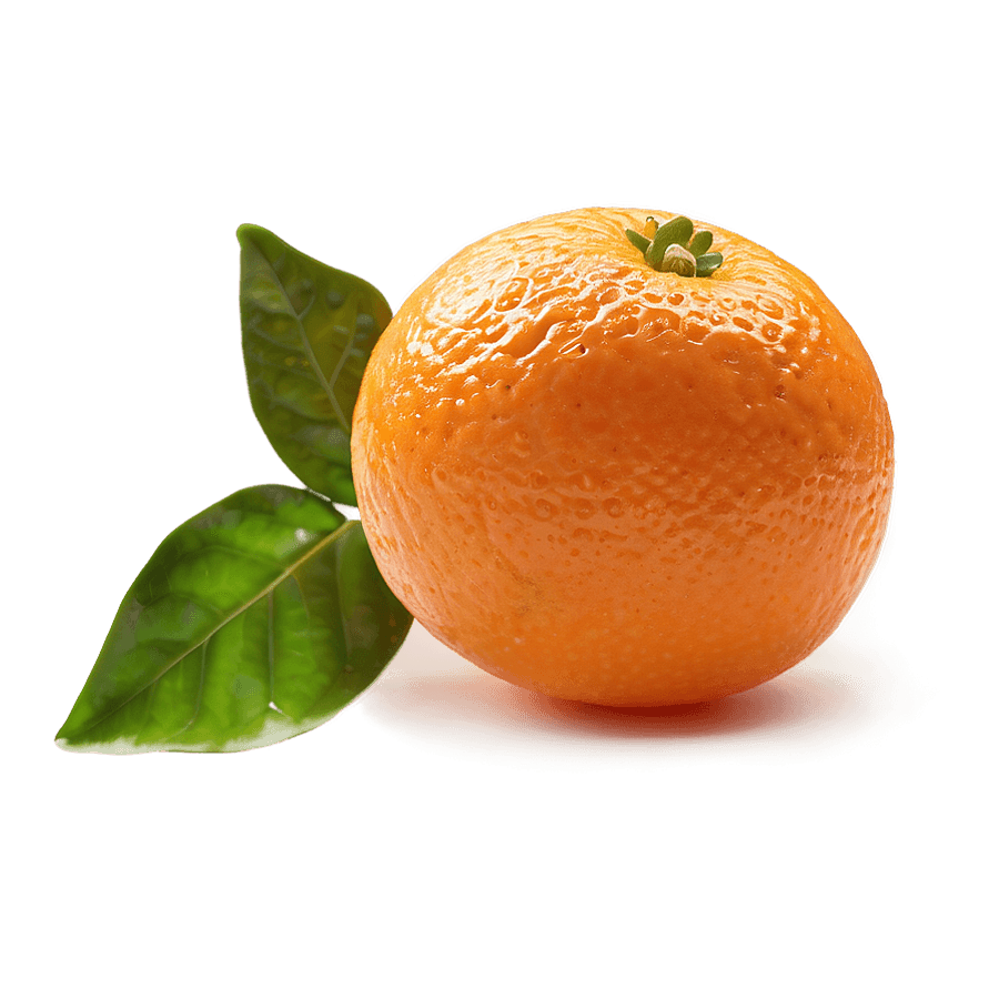 Sweet Orange Piece PNG 43