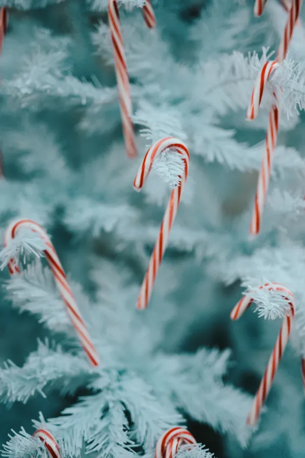 Simple Christmas Candy Canes