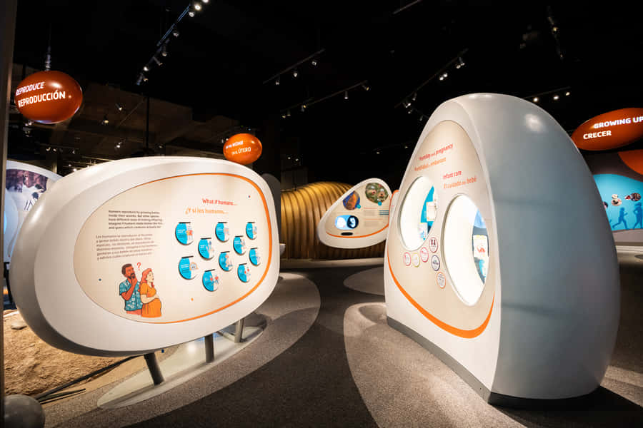 California Science Center Ausstellung